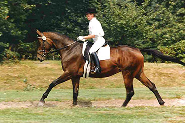 Sarogna, Reitpferdeprüfung in Sonsbeck 1990 Foto: Beate Langels